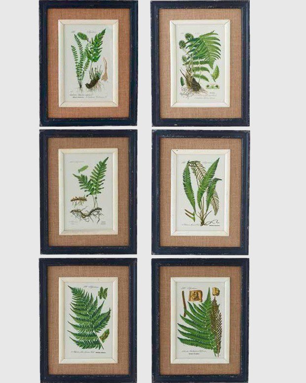 black-framed-fern-prints-set-of-6_2