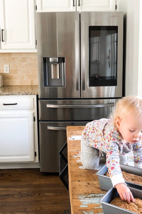 How We Look Inside Our CLOSED Refrigerator + The Best Pumpkin Bread Recipe!